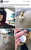 Click image for larger version. 

Name:	drew the roaming dog.jpg 
Views:	174 
Size:	107.5 KB 
ID:	74102