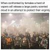 Click image for larger version. 

Name:	vapers.jpg 
Views:	193 
Size:	27.3 KB 
ID:	74285