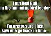 Click image for larger version. 

Name:	redbull hummingbird.jpeg 
Views:	189 
Size:	40.6 KB 
ID:	74724