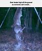 Click image for larger version. 

Name:	raccoonteamwork.jpg 
Views:	212 
Size:	234.1 KB 
ID:	74918