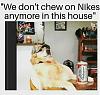 Click image for larger version. 

Name:	nikes.jpg 
Views:	235 
Size:	195.4 KB 
ID:	75996
