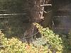 Click image for larger version. 

Name:	IMG_1990.jpg 
Views:	121 
Size:	235.5 KB 
ID:	76144