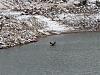 Click image for larger version. 

Name:	Swimming-Lake-Isabelle.jpg 
Views:	155 
Size:	188.6 KB 
ID:	76337