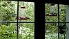 Click image for larger version. 

Name:	Hummers-6-23-2019-snow.jpg 
Views:	163 
Size:	194.3 KB 
ID:	78243