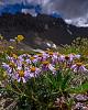 Click image for larger version. 

Name:	_NZ77230.jpg 
Views:	108 
Size:	82.6 KB 
ID:	78601
