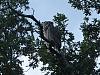 Click image for larger version. 

Name:	P1010046a.jpg 
Views:	192 
Size:	273.5 KB 
ID:	78786