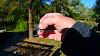 Click image for larger version. 

Name:	Broad-billed Hummingbird 10-3-19d.jpg 
Views:	149 
Size:	50.7 KB 
ID:	79093