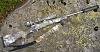 Click image for larger version. 

Name:	Kimber Adirondack 7mm-08 Omega 300.jpg 
Views:	146 
Size:	49.2 KB 
ID:	79109