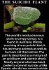 Click image for larger version. 

Name:	C4CF95B4-E9CA-46FA-9438-43B914CF8629.jpeg 
Views:	345 
Size:	82.8 KB 
ID:	79329