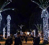 Click image for larger version. 

Name:	FLXmas.png 
Views:	324 
Size:	159.2 KB 
ID:	79460