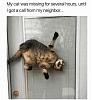 Click image for larger version. 

Name:	l-43788-my-cat-was-missing-for-several-hours-until-i-got-a-call-from-my-neighbor.jpg 
Views:	266 
Size:	30.3 KB 
ID:	79769