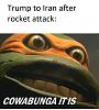 Click image for larger version. 

Name:	cowabunga.jpg 
Views:	111 
Size:	98.6 KB 
ID:	79839