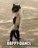 Click image for larger version. 

Name:	happydancegif.jpg 
Views:	138 
Size:	32.2 KB 
ID:	79984