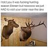 Click image for larger version. 

Name:	Doreen.jpg 
Views:	308 
Size:	81.2 KB 
ID:	80109