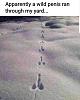 Click image for larger version. 

Name:	20200222_075453.jpg 
Views:	290 
Size:	49.5 KB 
ID:	80314