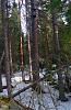Click image for larger version. 

Name:	Boreal-box-19-ft-3-16-20.jpg 
Views:	201 
Size:	109.9 KB 
ID:	80450