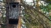 Click image for larger version. 

Name:	Boreal-box-close-3-16-20.jpg 
Views:	202 
Size:	208.2 KB 
ID:	80451