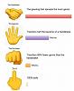 Click image for larger version. 

Name:	Covid-19 hand gestures.jpg 
Views:	390 
Size:	229.8 KB 
ID:	80484