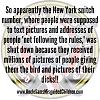 Click image for larger version. 

Name:	1587455311323_IMG_1290.JPG 
Views:	225 
Size:	106.1 KB 
ID:	81110
