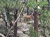 Click image for larger version. 

Name:	IMG_20200728_195928.jpg 
Views:	266 
Size:	277.9 KB 
ID:	82453