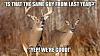 Click image for larger version. 

Name:	1604882324166.jpg 
Views:	330 
Size:	20.1 KB 
ID:	83717