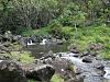Click image for larger version. 

Name:	Kauai-garden-creek.jpg 
Views:	68 
Size:	277.4 KB 
ID:	84088