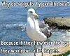 Click image for larger version. 

Name:	44558.jpeg 
Views:	331 
Size:	34.2 KB 
ID:	84384