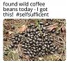 Click image for larger version. 

Name:	307.jpg 
Views:	369 
Size:	127.6 KB 
ID:	84460