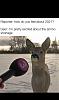 Click image for larger version. 

Name:	20210124_142740.jpg 
Views:	244 
Size:	100.1 KB 
ID:	84737