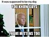 Click image for larger version. 

Name:	Mittens.jpg 
Views:	255 
Size:	27.9 KB 
ID:	84753