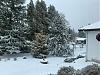 Click image for larger version. 

Name:	SnowM.jpg 
Views:	112 
Size:	273.6 KB 
ID:	85033