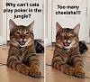 Click image for larger version. 

Name:	18-5e2ac3ca015c1__700.jpg 
Views:	378 
Size:	89.8 KB 
ID:	85191