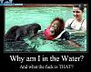Click image for larger version. 

Name:	why_am_i_in_the_water.jpg 
Views:	290 
Size:	75.7 KB 
ID:	85198