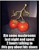 Click image for larger version. 

Name:	image(59).jpeg 
Views:	318 
Size:	30.2 KB 
ID:	85780