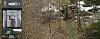 Click image for larger version. 

Name:	BrowningSpecOps-cam.jpg 
Views:	249 
Size:	261.2 KB 
ID:	86109