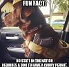 Click image for larger version. 

Name:	doggun.jpeg 
Views:	243 
Size:	106.7 KB 
ID:	86200