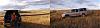 Click image for larger version. 

Name:	Pronghorn-country.jpg 
Views:	213 
Size:	131.9 KB 
ID:	86299
