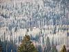Click image for larger version. 

Name:	BaseCamp-from-the-mountain.jpg 
Views:	213 
Size:	268.1 KB 
ID:	86301