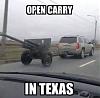 Click image for larger version. 

Name:	open carry.jpg 
Views:	419 
Size:	26.0 KB 
ID:	86486