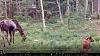 Click image for larger version. 

Name:	Mama&Baby-6-19-21.jpg 
Views:	191 
Size:	206.2 KB 
ID:	86541