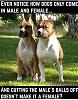 Click image for larger version. 

Name:	8fa06c470b1377f8b0153c43e1062dc5.jpg 
Views:	55 
Size:	81.8 KB 
ID:	86560
