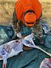 Click image for larger version. 

Name:	IMG_4954.jpg 
Views:	69 
Size:	101.6 KB 
ID:	87787