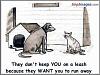 Click image for larger version. 

Name:	244553927_4904117322932958_7427863737373073431_n.jpg 
Views:	436 
Size:	16.3 KB 
ID:	87848