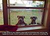 Click image for larger version. 

Name:	gk4vqomm01s71.jpg 
Views:	427 
Size:	135.2 KB 
ID:	87906