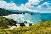 Click image for larger version. 

Name:	Ecola_17.jpg 
Views:	176 
Size:	86.3 KB 
ID:	87928