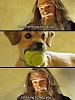 Click image for larger version. 

Name:	doggierobbery.jpg 
Views:	306 
Size:	76.7 KB 
ID:	88128