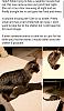 Click image for larger version. 

Name:	SmartSelect_20211116-113445_Facebook.jpg 
Views:	213 
Size:	204.4 KB 
ID:	88391