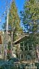 Click image for larger version. 

Name:	Tree-climbing-12-22-21.jpg 
Views:	91 
Size:	250.2 KB 
ID:	88918