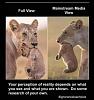 Click image for larger version. 

Name:	2.jpg 
Views:	397 
Size:	43.4 KB 
ID:	89100