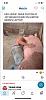 Click image for larger version. 

Name:	IMG_20220325_164140.jpg 
Views:	461 
Size:	199.6 KB 
ID:	89911